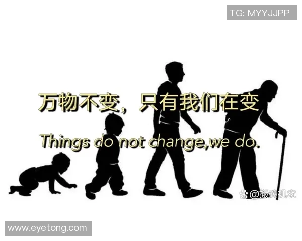 总决赛背后的故事：从少年到巨星之路